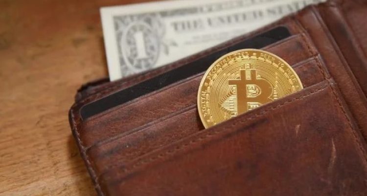 Panduan Praktis Crypto Wallet Untuk Pemula