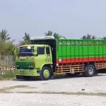 Harga sewa truk besar di Denpasar 2023