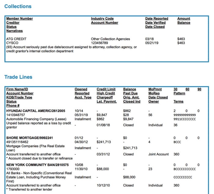 Credit repair report letters transunion experian equifax bureau score example does template letter check work show dispute business not guide