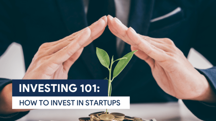 Invest startup startups