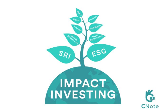 Impact investing investment