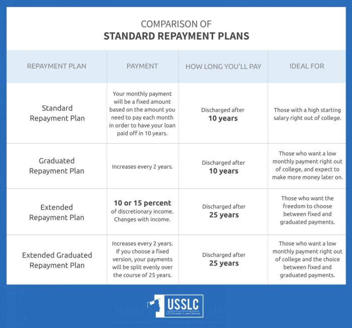 Repayment loan standard