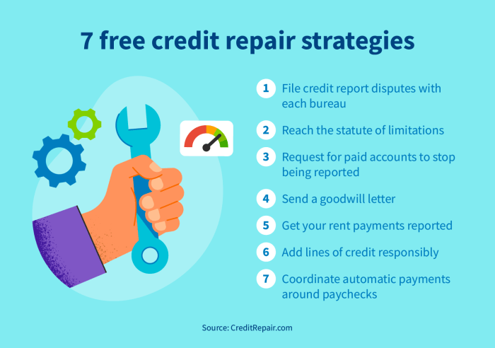 Credit repair score