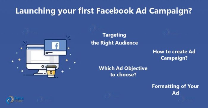 Developing Facebook Ad Campaigns