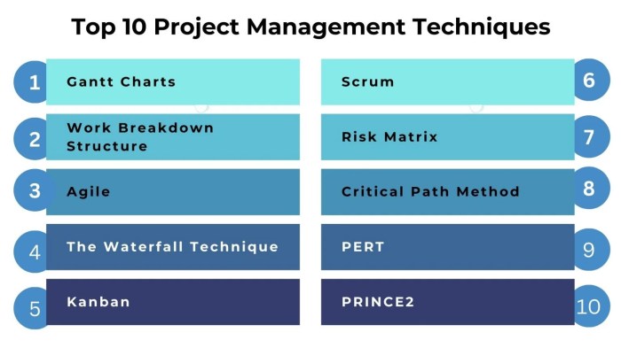 Project Management Techniques