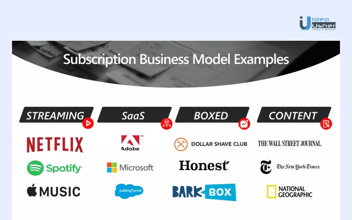 Building a Subscription-Based Model